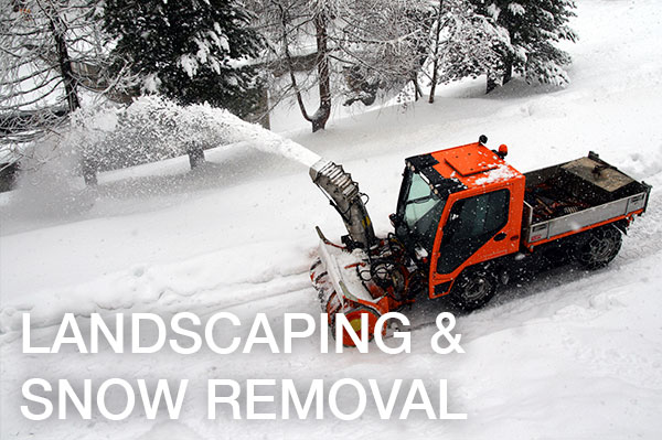 Landscaping and Snow Removal Services