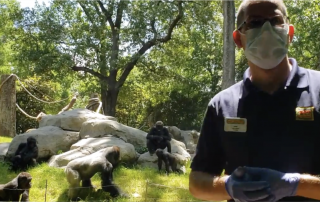 Feed the Zoo | GBM's donation to Zoo Atlanta