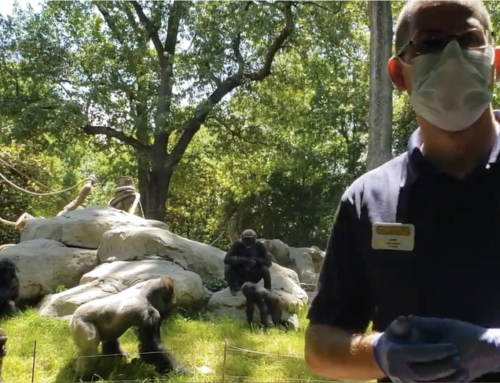 Feed the Zoo | Donation to Zoo Atlanta during COVID-19